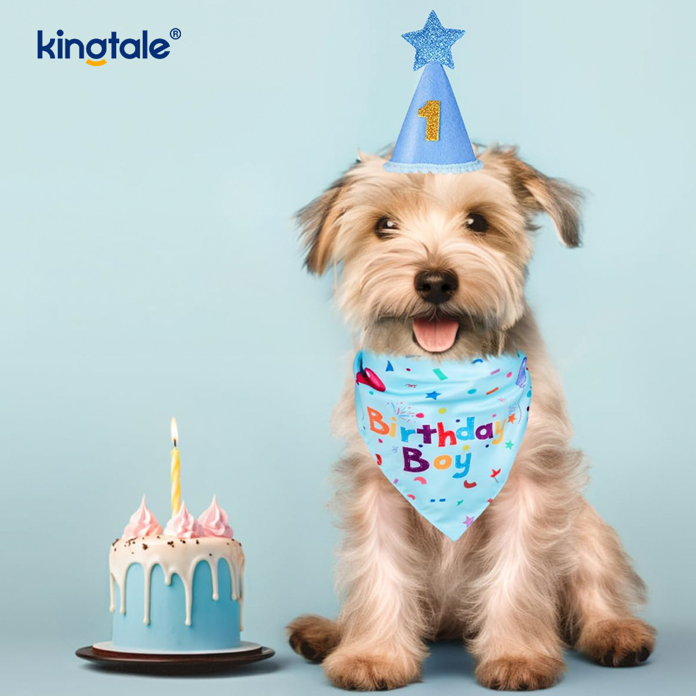 Set di bandane per compleanno di animali domestici