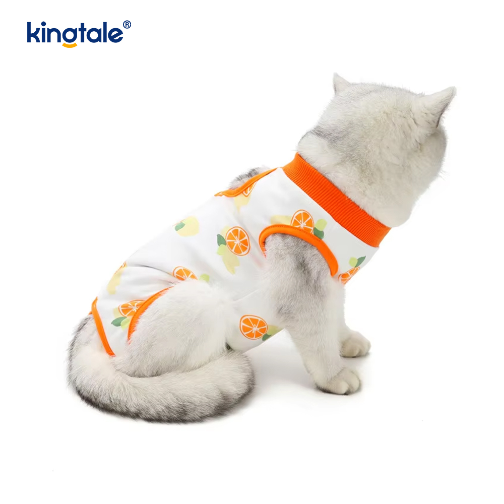 Abbigliamento per il recupero del cane