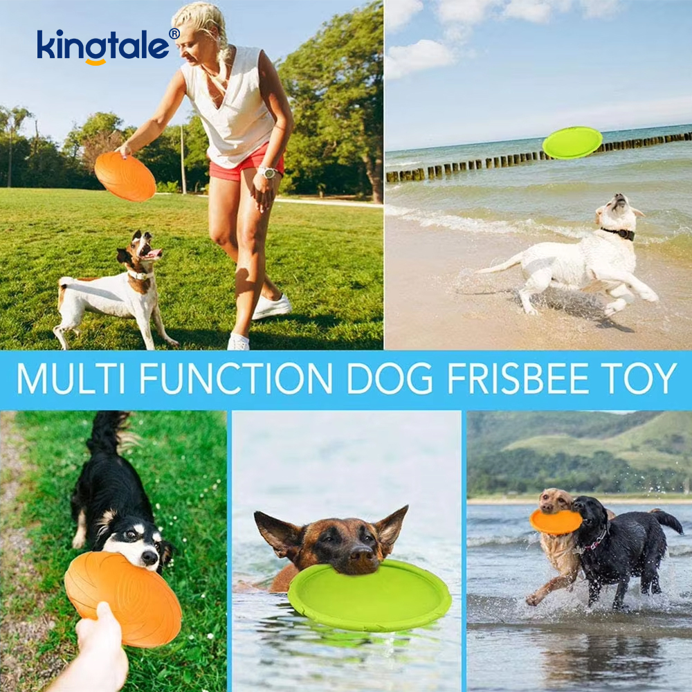Frisbee per animali domestici