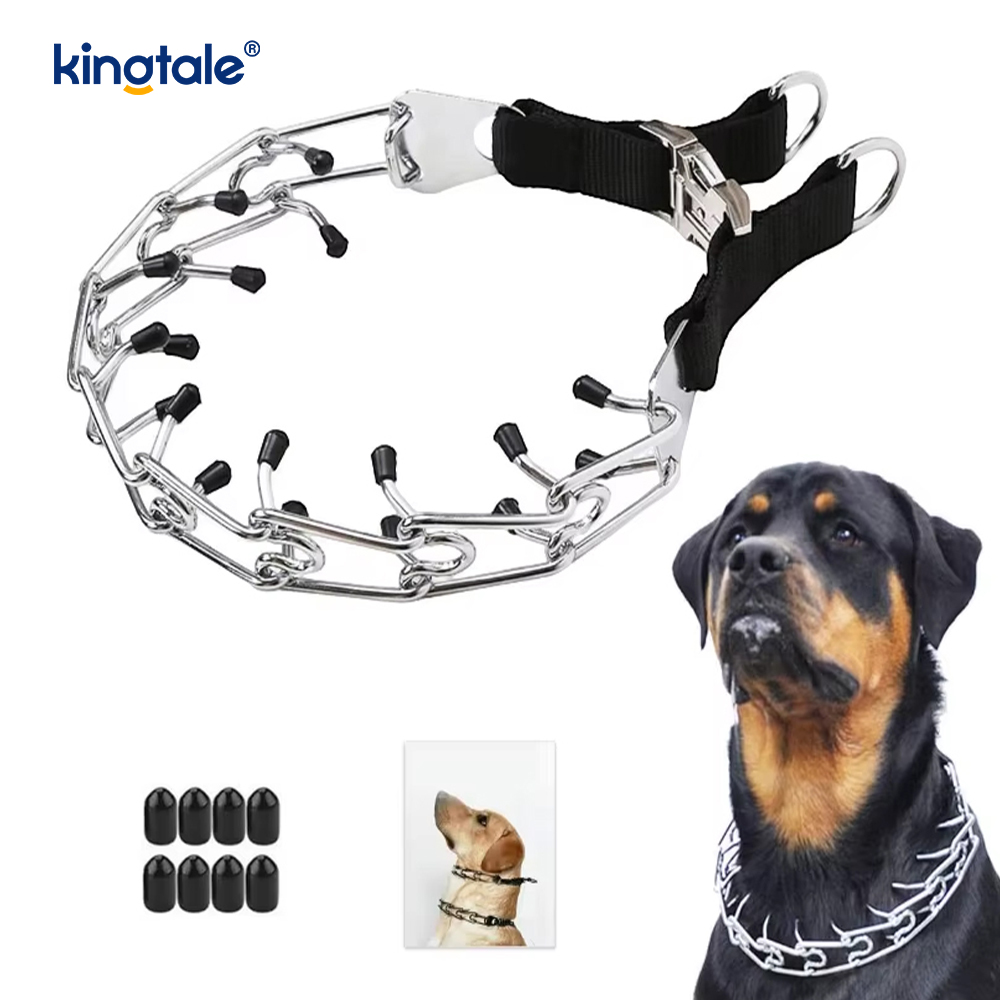 Collare per cani con fibbia in metallo