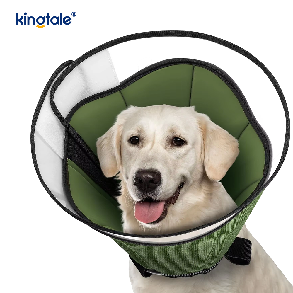 Cono morbido per cani dopo l'intervento chirurgico