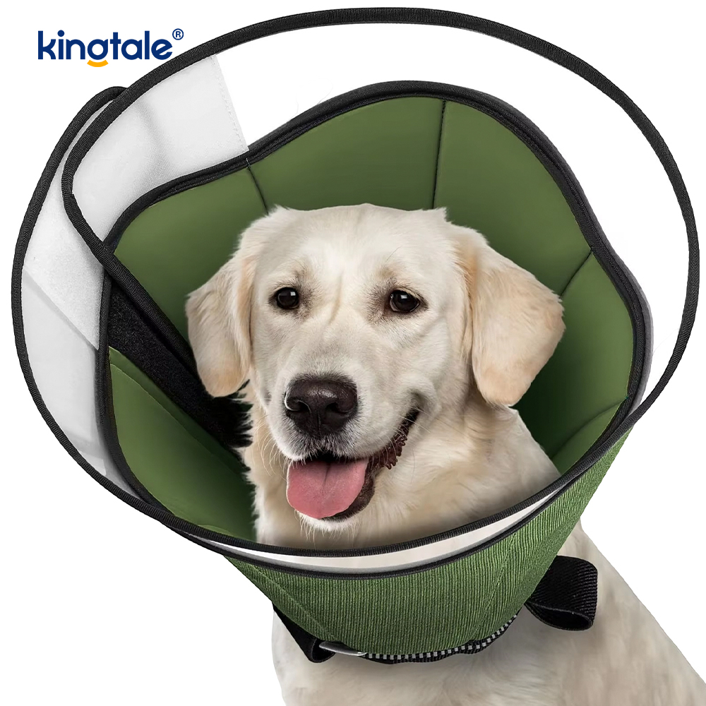 Cono morbido per cani dopo l'intervento chirurgico