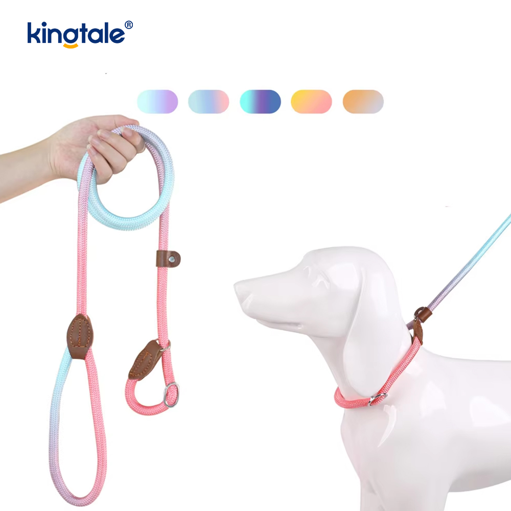 Guinzaglio per cani Macarons Slip