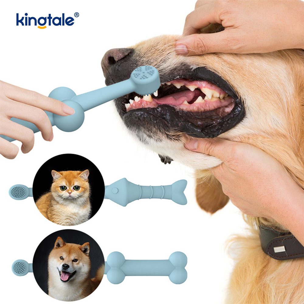 Nuovo spazzolino per animali progettato per pulire i denti e aiutare a prevenire il tartaro Nuovo spazzolino per animali progettato per pulire i denti e aiutare a prevenire il tartaro