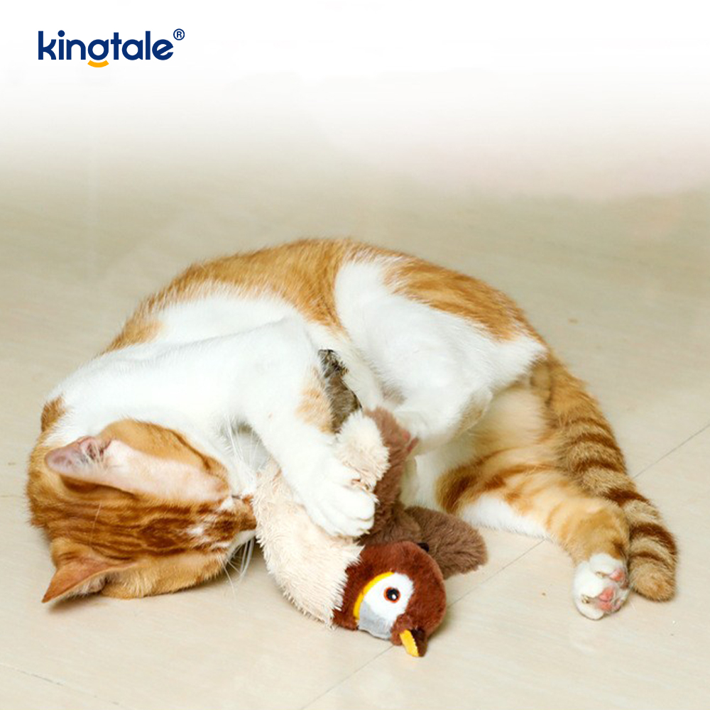 Giocattolo di peluche per animali domestici simulato passero per tutte le razze Cat Kicker Catnip Toys Sparrow