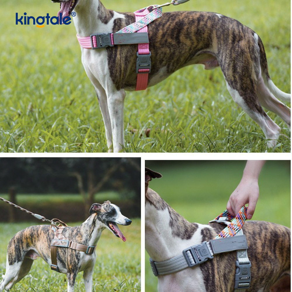 Pettorina per cani riflettente con fettuccia in nylon intrecciata sviluppata