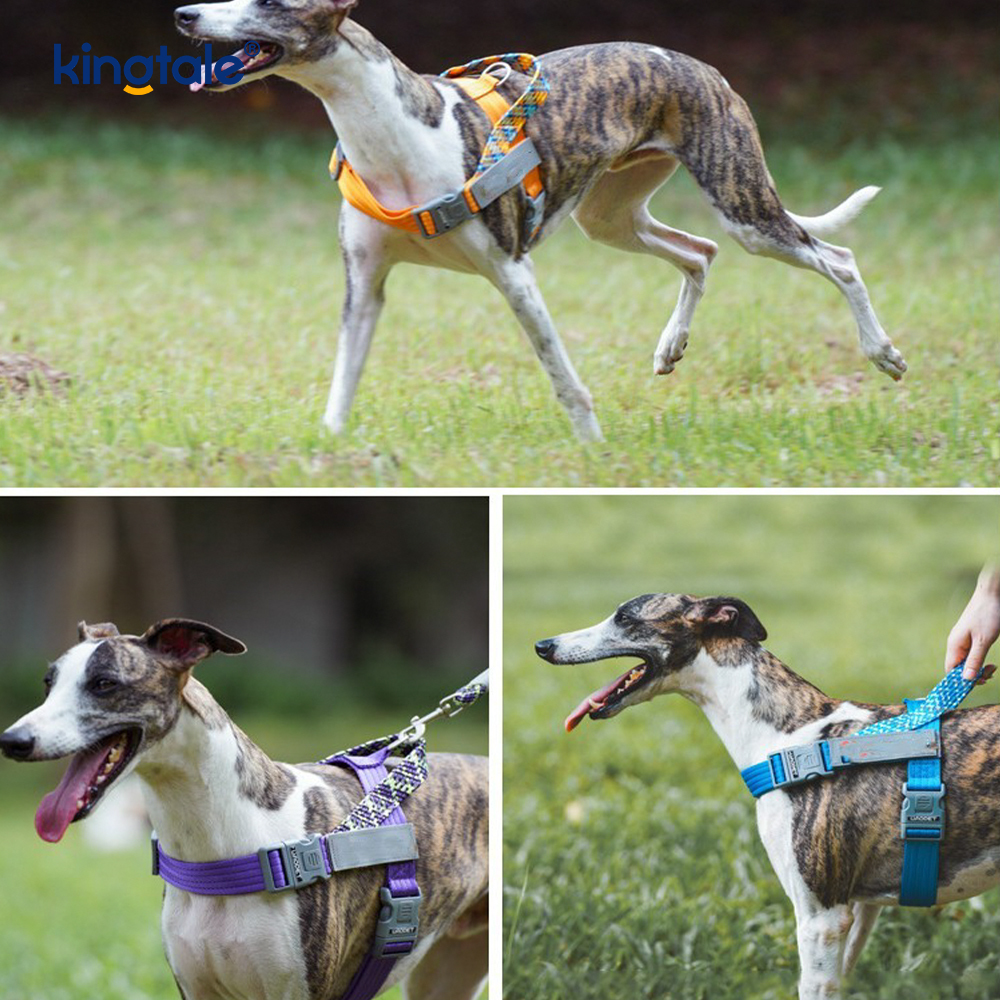 Pettorina per cani riflettente con fettuccia in nylon intrecciata sviluppata