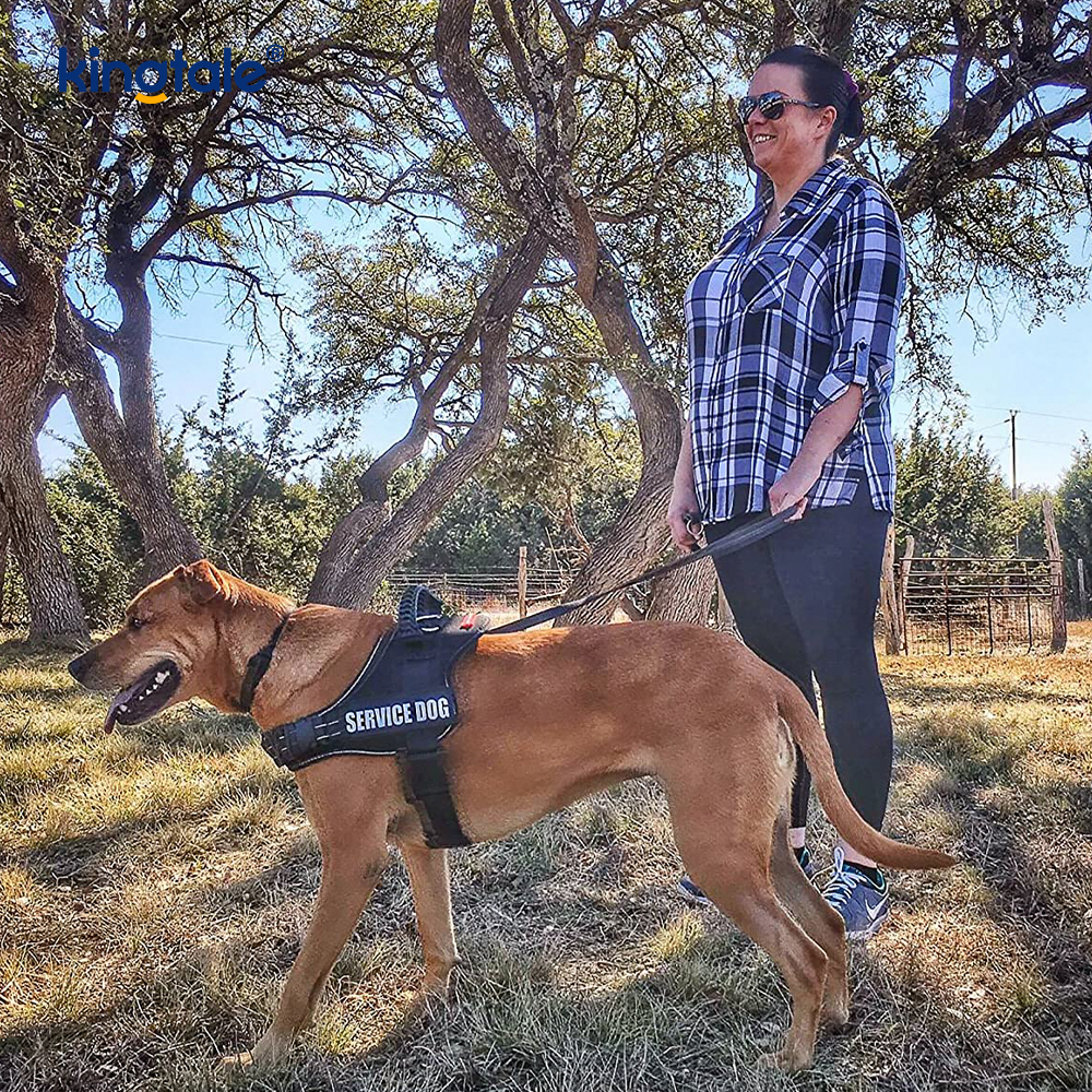 Pettorina per cani di design riflettente senza trazione Guinzaglio per cani in corda di nylon solido