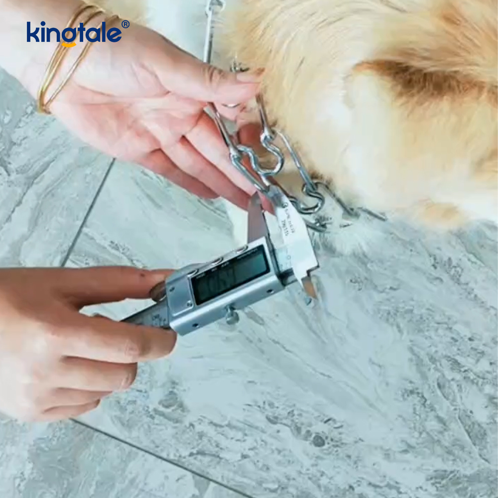 Collari a strozzo per pizzichi per animali domestici Collare da addestramento per cani con punta in metallo in acciaio al carbonio Collari a strozzo per pizzichi per animali domestici Collare da addestramento per cani con punta in metallo in acciaio al carbonio