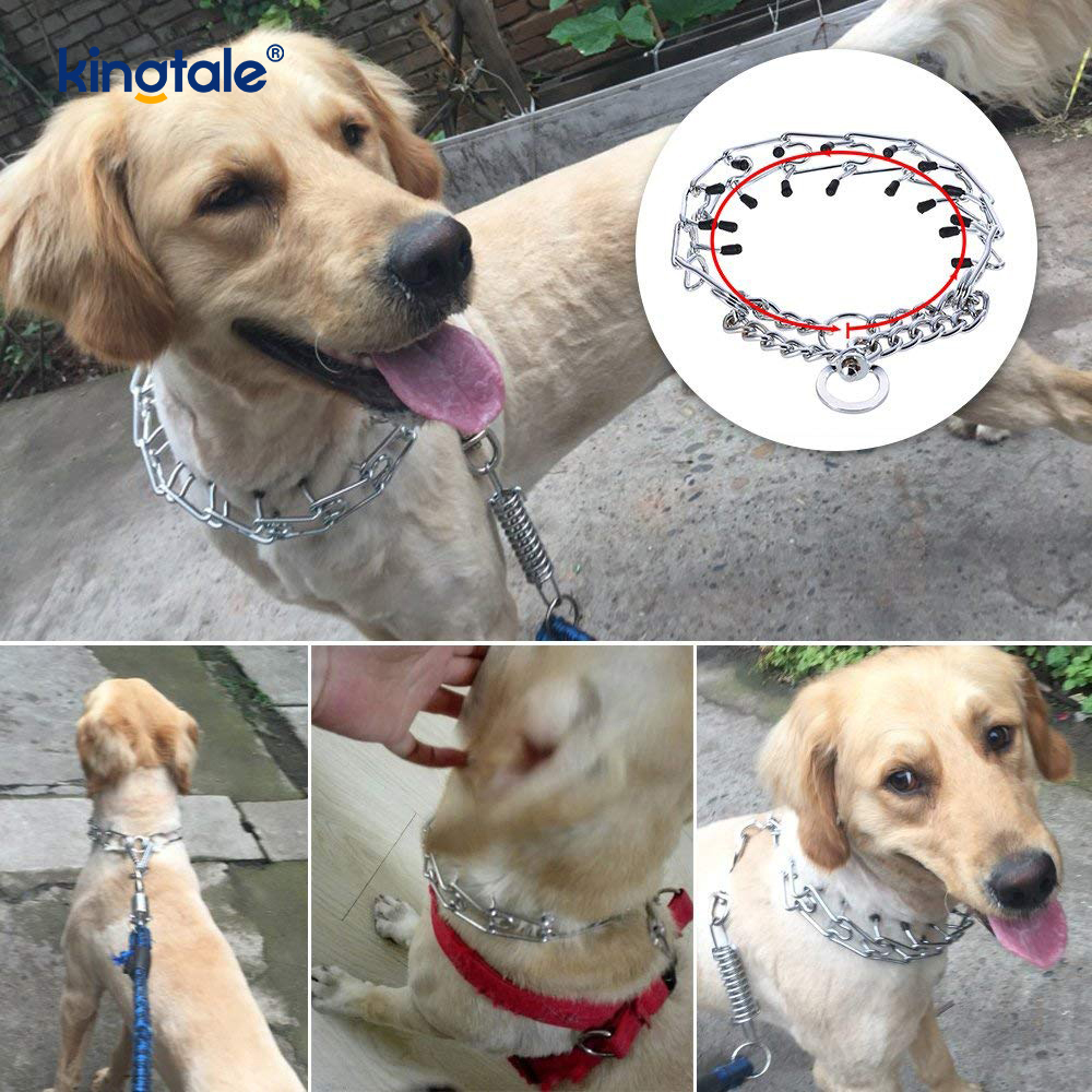 Collari a strozzo per pizzichi per animali domestici Collare da addestramento per cani con punta in metallo in acciaio al carbonio Collari a strozzo per pizzichi per animali domestici Collare da addestramento per cani con punta in metallo in acciaio al carbonio