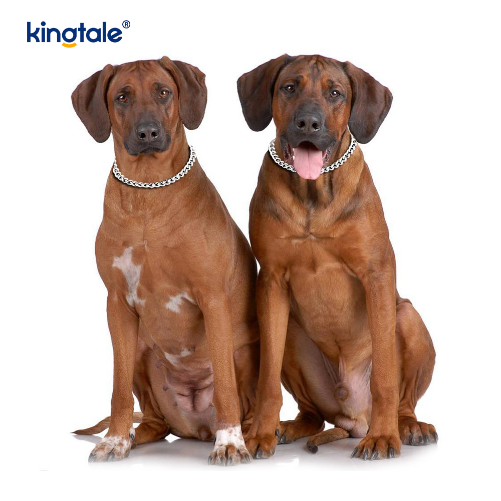 Collare a strozzo per cani da addestramento in metallo, catena a P, catena pesante per cani