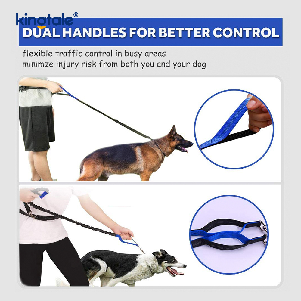 Guinzaglio per animali da corsa doppio elastico riflettente con custodia con cerniera