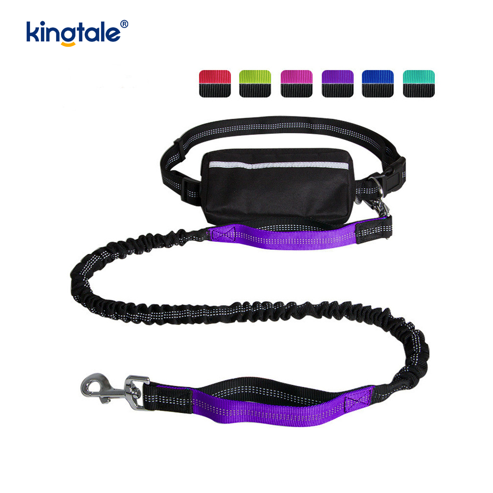 Guinzaglio per animali da corsa doppio elastico riflettente con custodia con cerniera