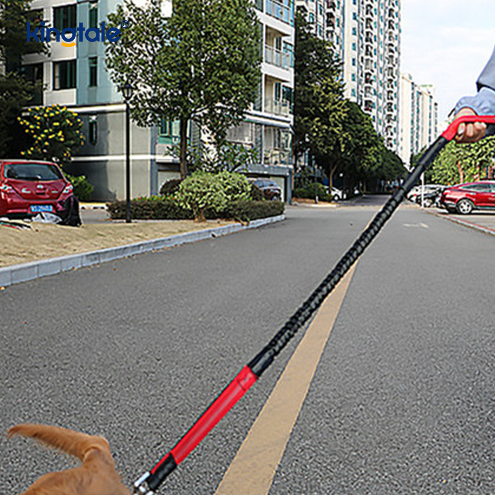 Guinzaglio per animali da corsa doppio elastico riflettente con custodia con cerniera