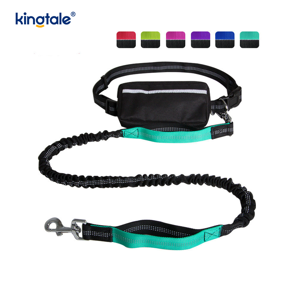 Guinzaglio per animali da corsa doppio elastico riflettente con custodia con cerniera