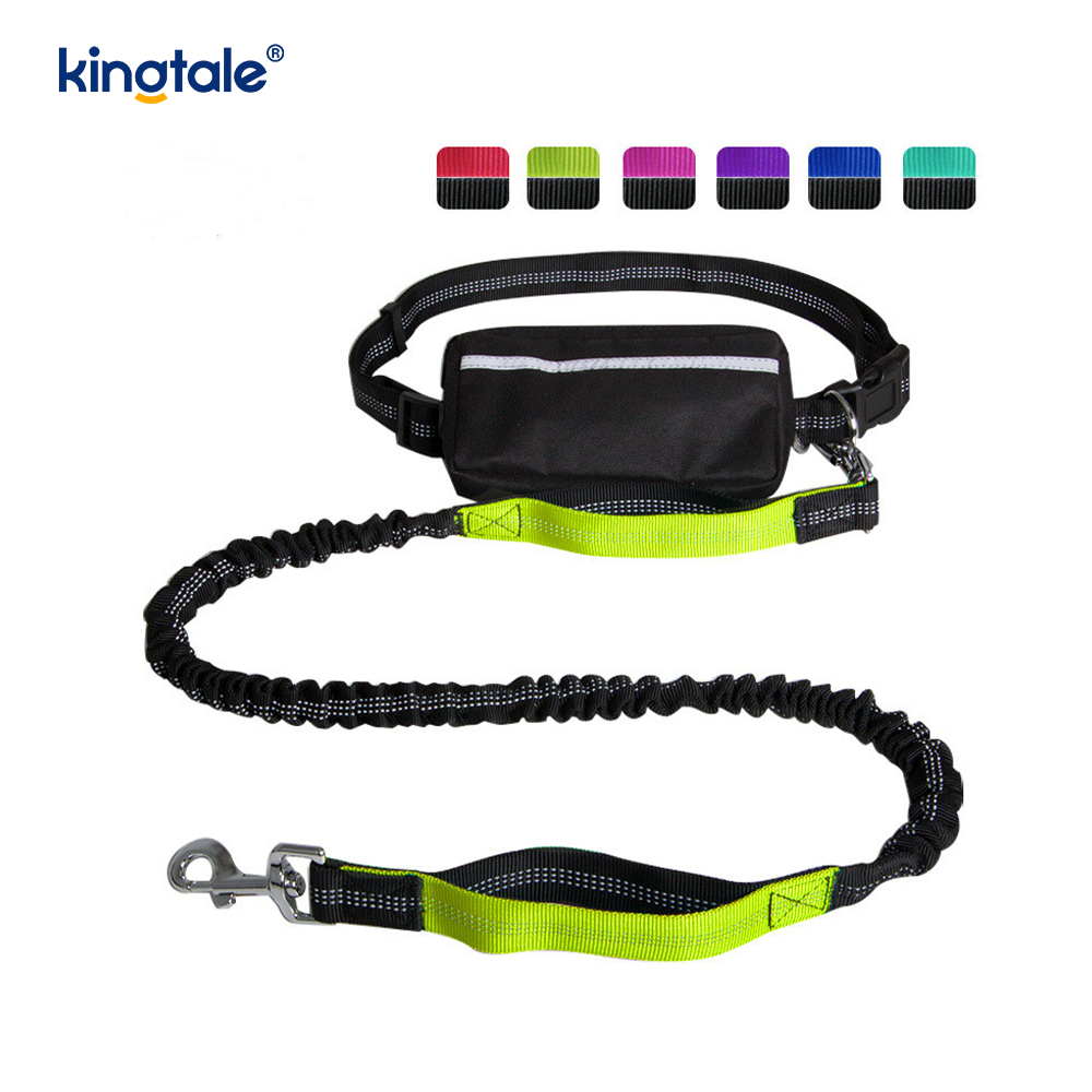Guinzaglio per animali da corsa doppio elastico riflettente con custodia con cerniera