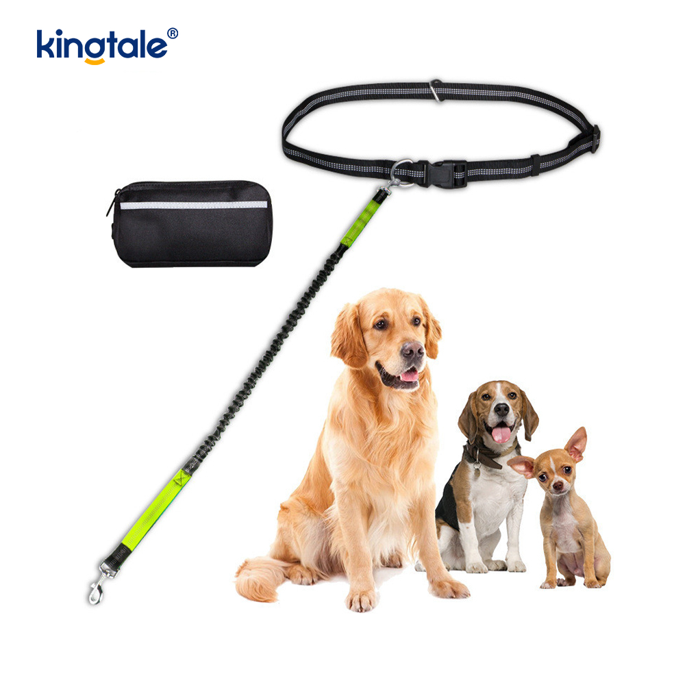 Guinzaglio per animali da corsa doppio elastico riflettente con custodia con cerniera