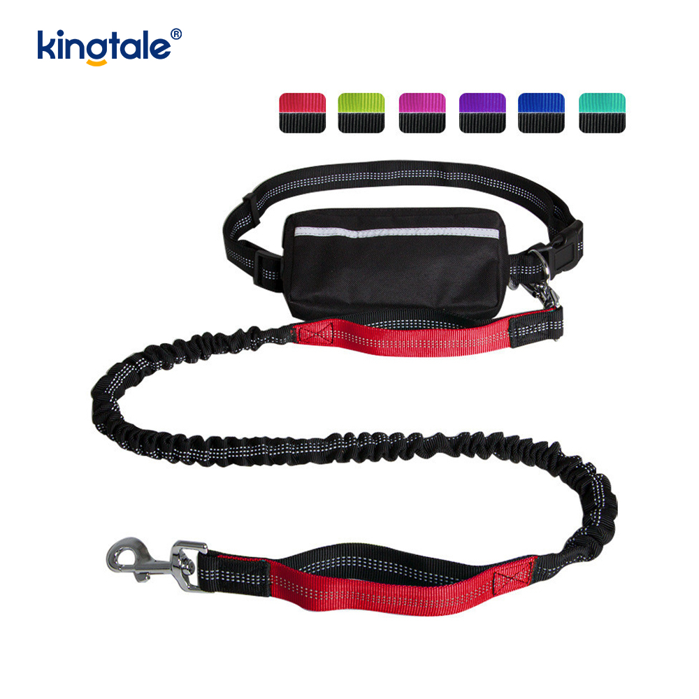 Guinzaglio per animali da corsa doppio elastico riflettente con custodia con cerniera