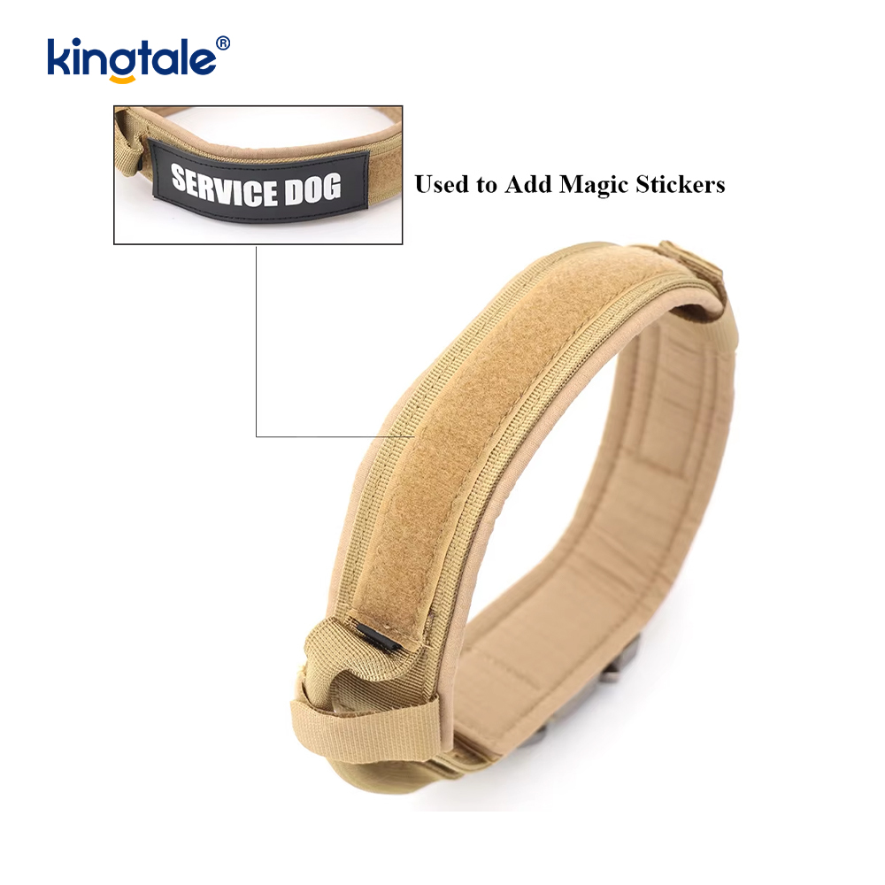 Collare per cani con cintura con fibbia in metallo Collare per cani resistente