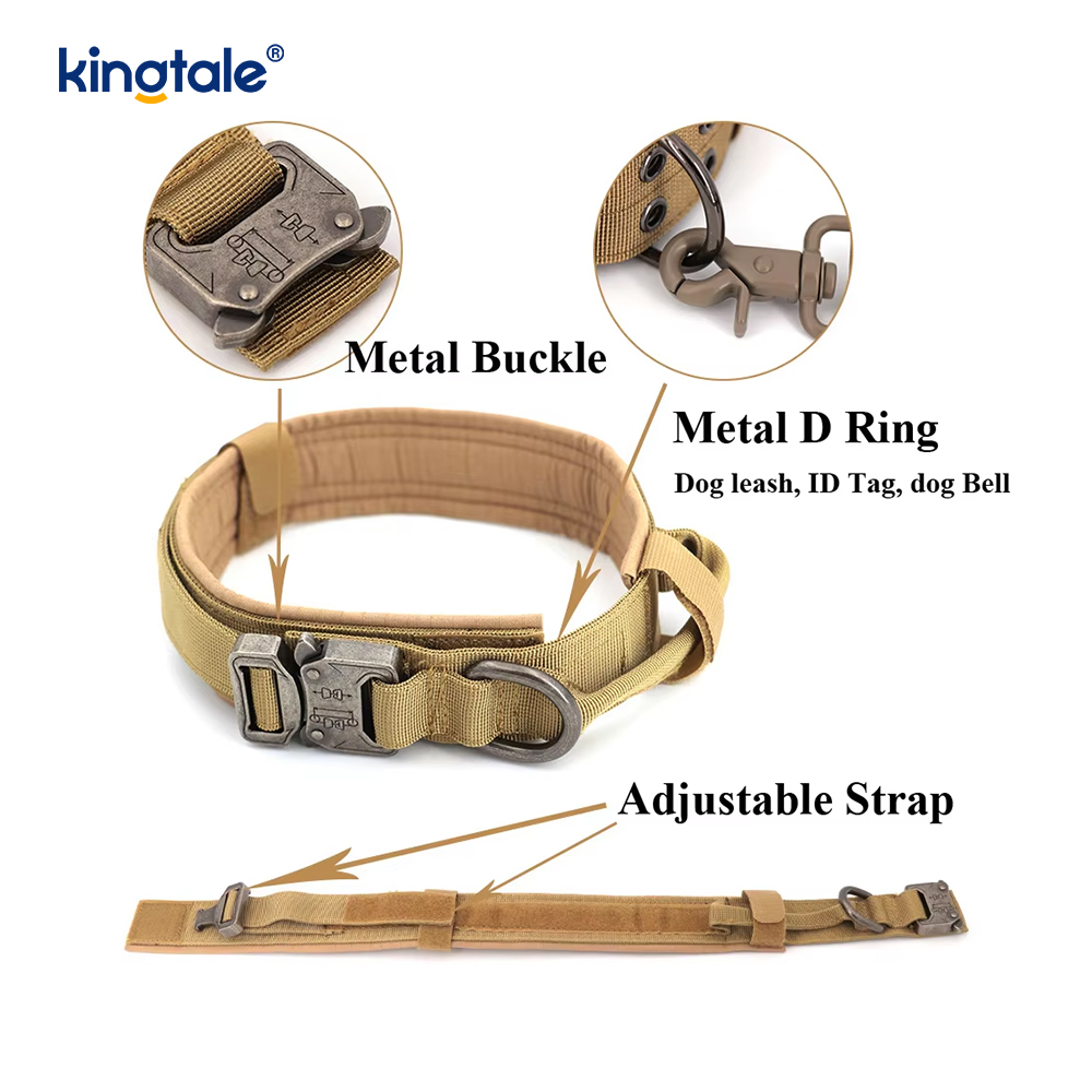 Collare per cani con cintura con fibbia in metallo Collare per cani resistente