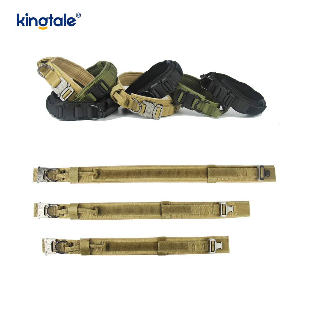Collare per cani con cintura con fibbia in metallo Collare per cani resistente
