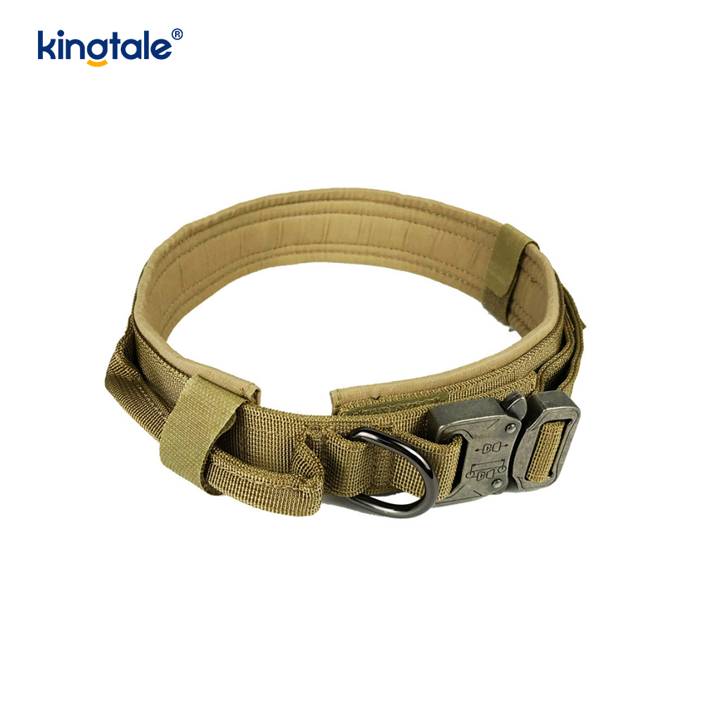 Collare per cani con cintura con fibbia in metallo Collare per cani resistente