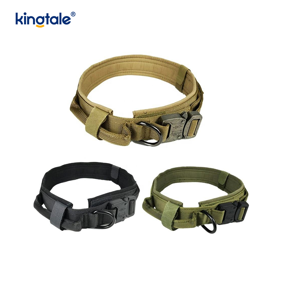 Collare per cani con cintura con fibbia in metallo Collare per cani resistente