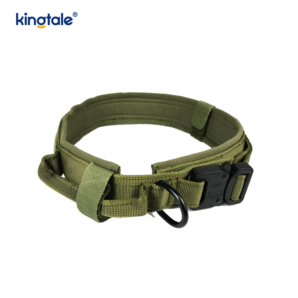 Collare per cani con cintura con fibbia in metallo Collare per cani resistente