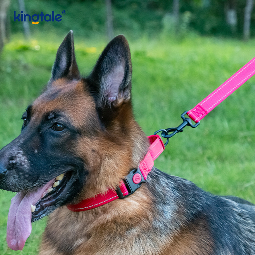 Collare per cani Martingale in nylon regolabile, senza tiraggio, per cani di taglia S M A L L