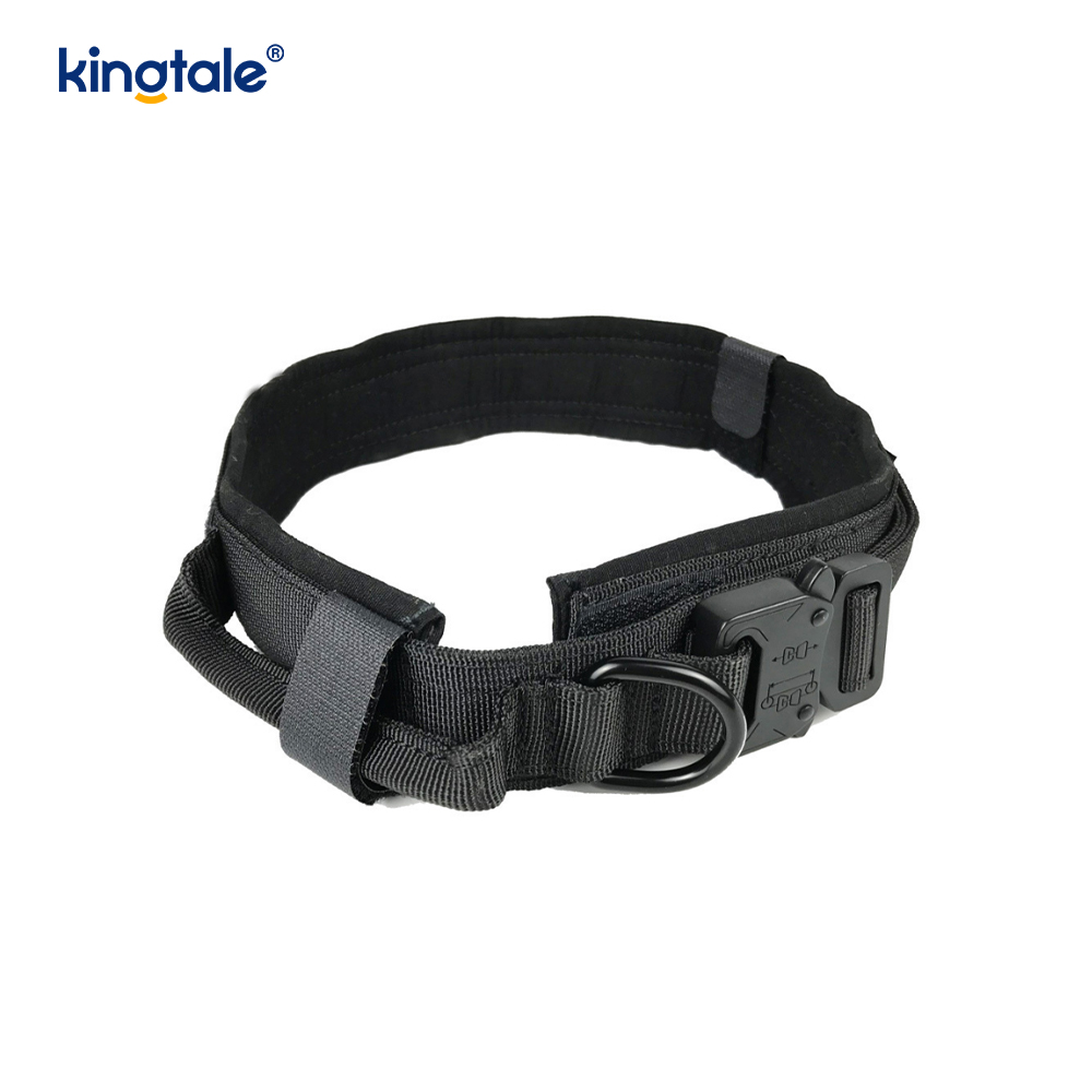 Collare per cani con cintura con fibbia in metallo Collare per cani resistente