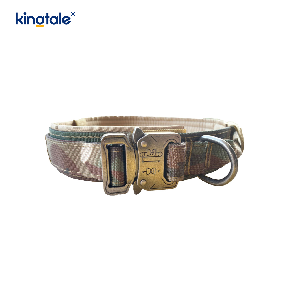 Collare per cani con cintura con fibbia in metallo Collare per cani resistente