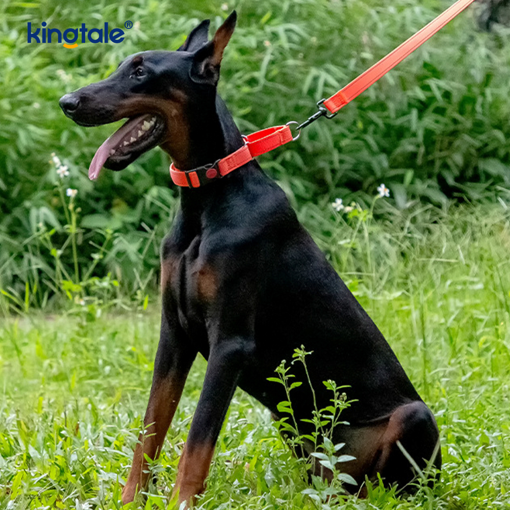Collare per cani Martingale in nylon regolabile, senza tiraggio, per cani di taglia S M A L L