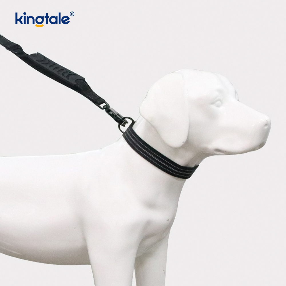 Guinzaglio elastico per collare per cani tattico riflettente senza trazione