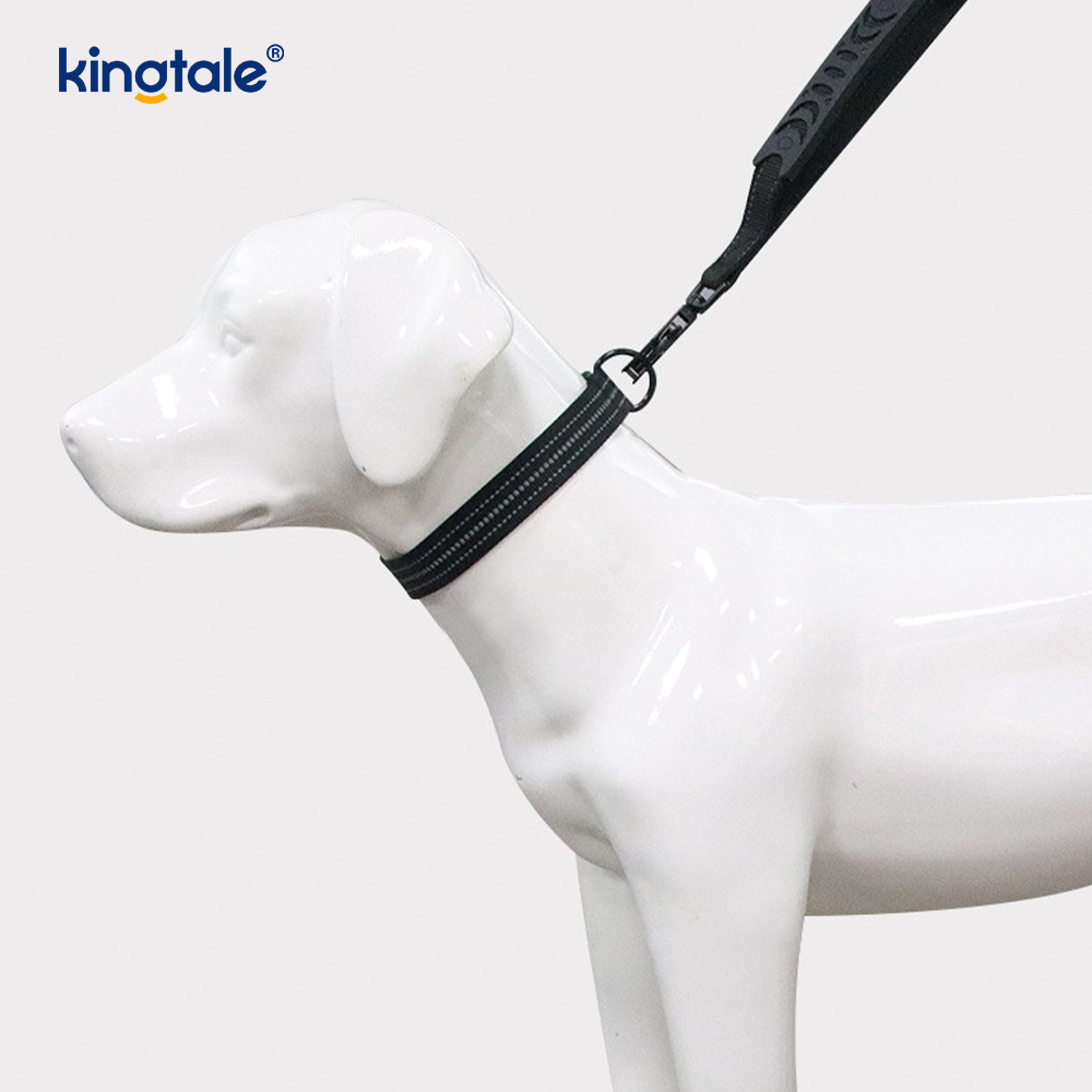 Guinzaglio elastico per collare per cani tattico riflettente senza trazione