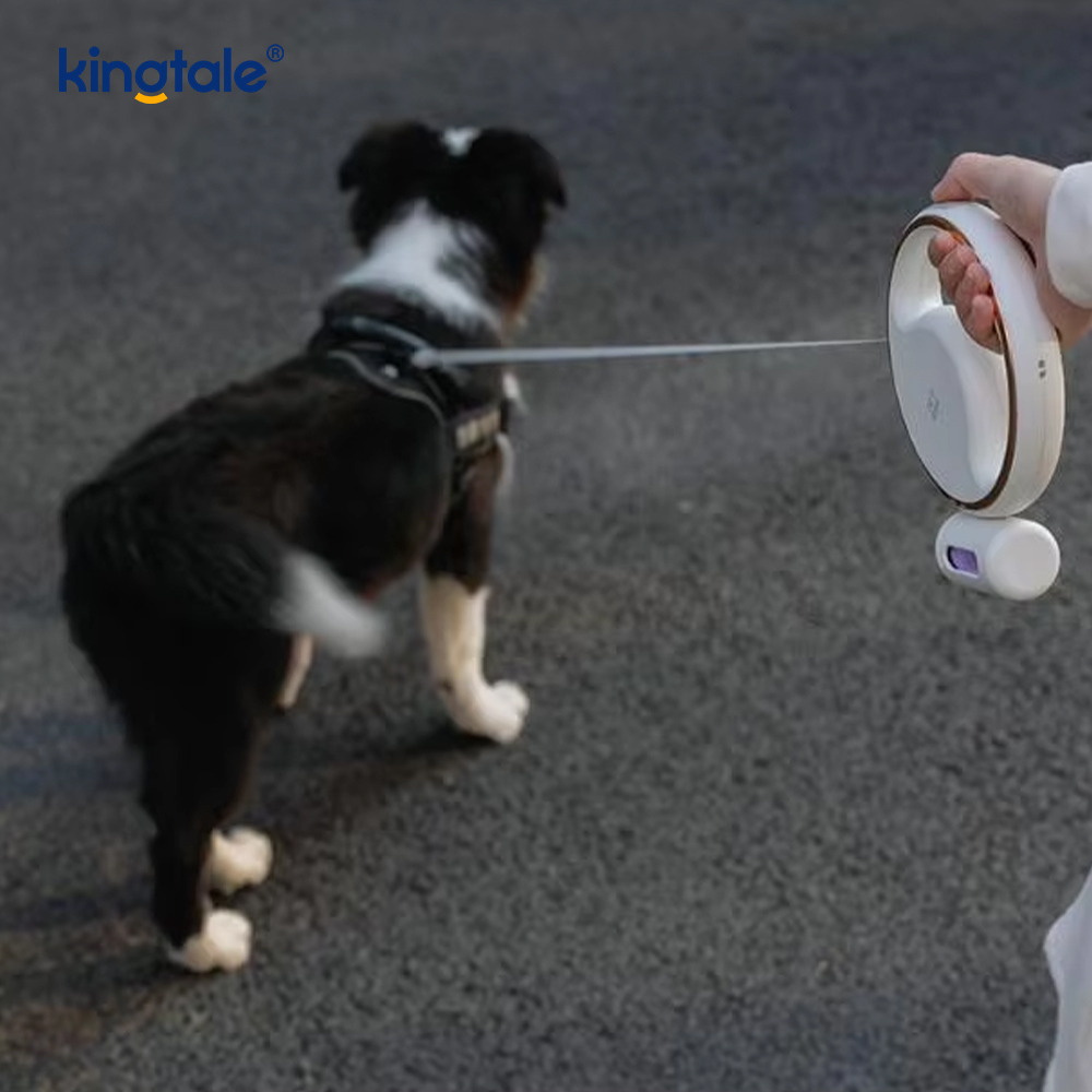 Guinzaglio per collare per cani in nylon retrattile automatico con illuminazione a LED semplice e moderna