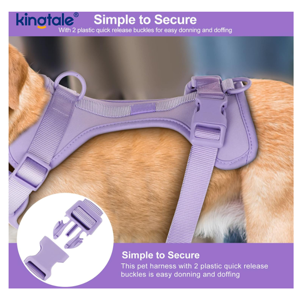 Collare al guinzaglio per cani leggero regolabile in PVC personalizzato senza trazione