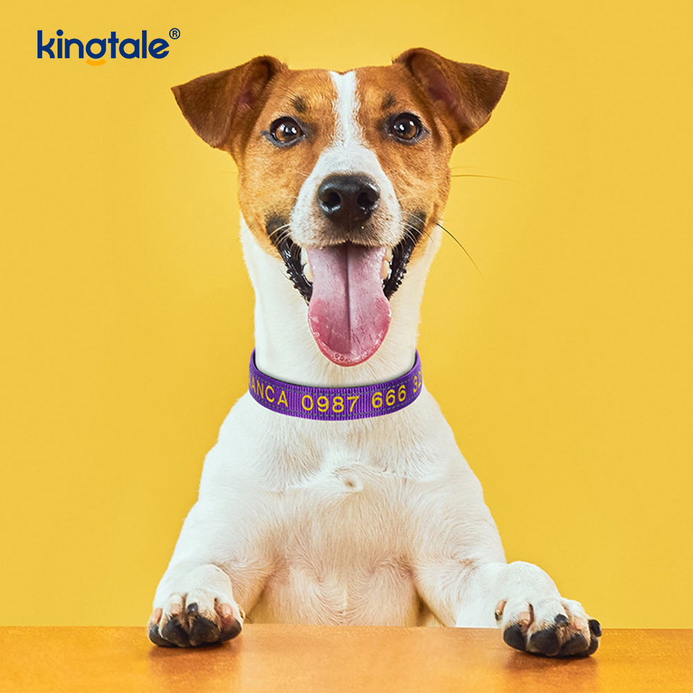Design con fibbia codificata per collare per cani di servizio per prevenire incidenti