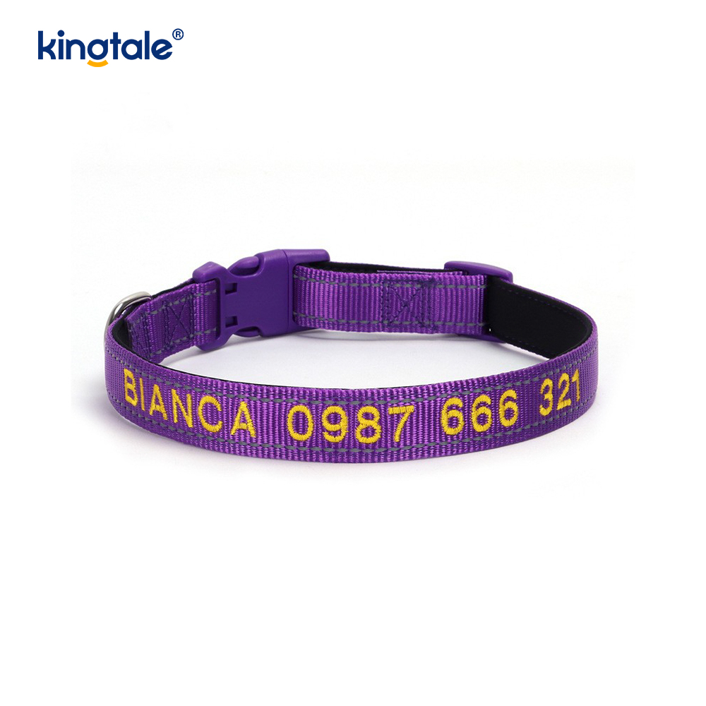 Design con fibbia codificata per collare per cani di servizio per prevenire incidenti