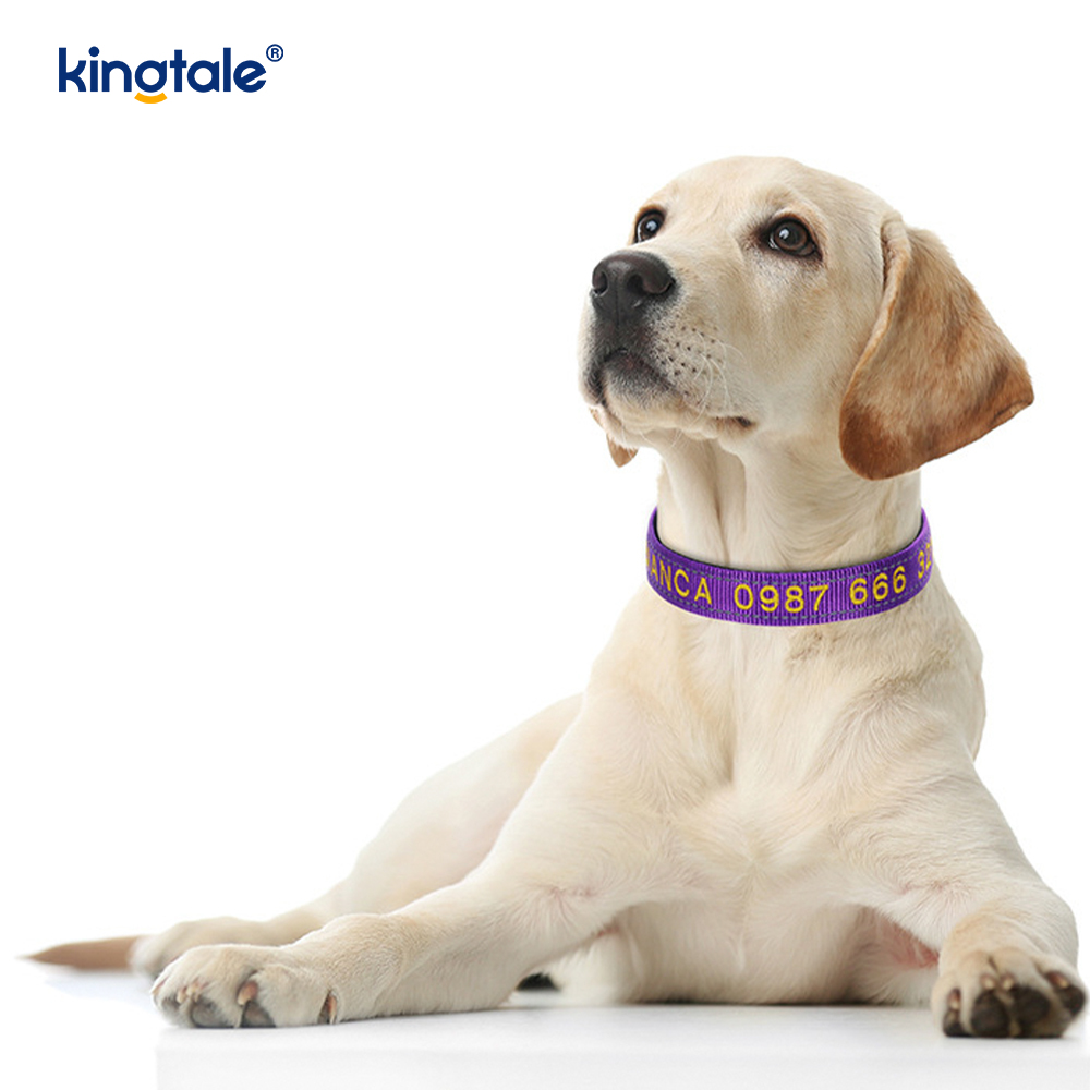 Design con fibbia codificata per collare per cani di servizio per prevenire incidenti