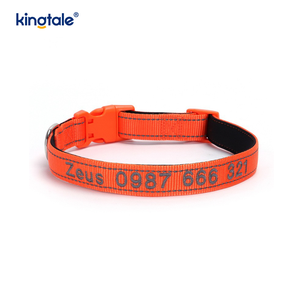 Design con fibbia codificata per collare per cani di servizio per prevenire incidenti