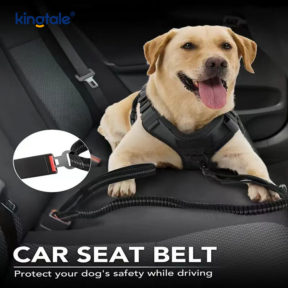 Guinzaglio per cani resistente 4 in 1 con cintura di sicurezza per auto e morbida impugnatura imbottita Guinzaglio per cani resistente 4 in 1 con cintura di sicurezza per auto e morbida impugnatura imbottita