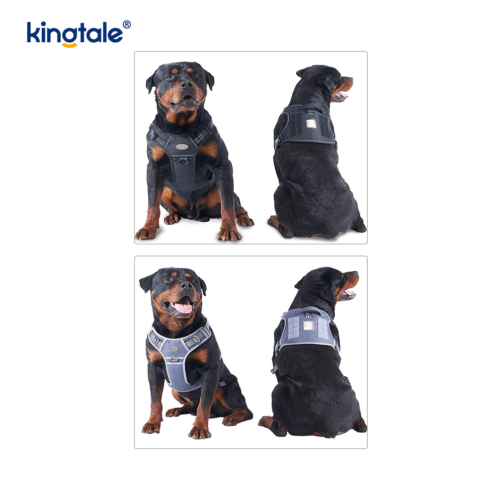 Pettorina per addestramento con gilet per cintura per cani resistente in nylon resistente e senza trazione