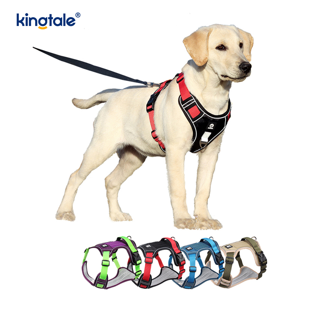 Pettorina per cani sportivi traspiranti e riflettenti con rivetti in nylon