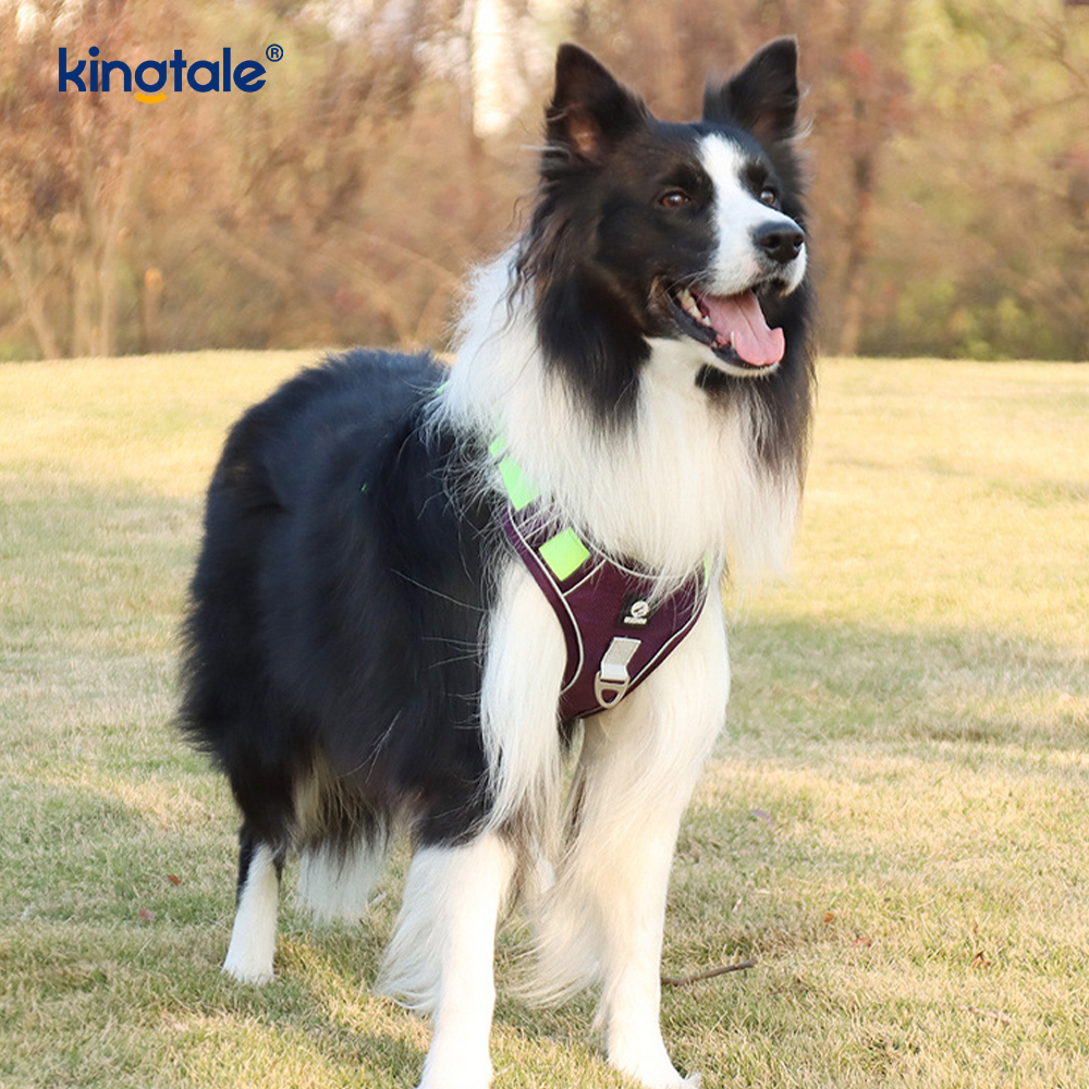 Pettorina per cani sportivi traspiranti e riflettenti con rivetti in nylon