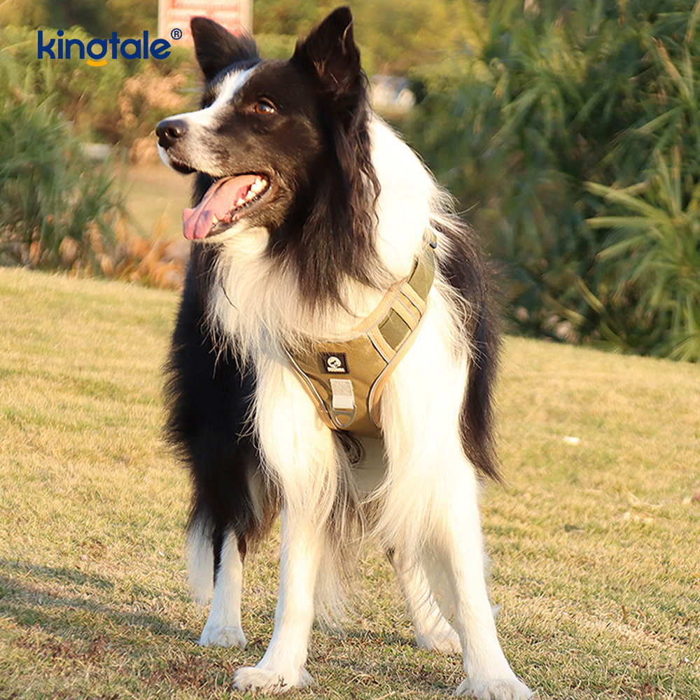 Pettorina per cani sportivi traspiranti e riflettenti con rivetti in nylon