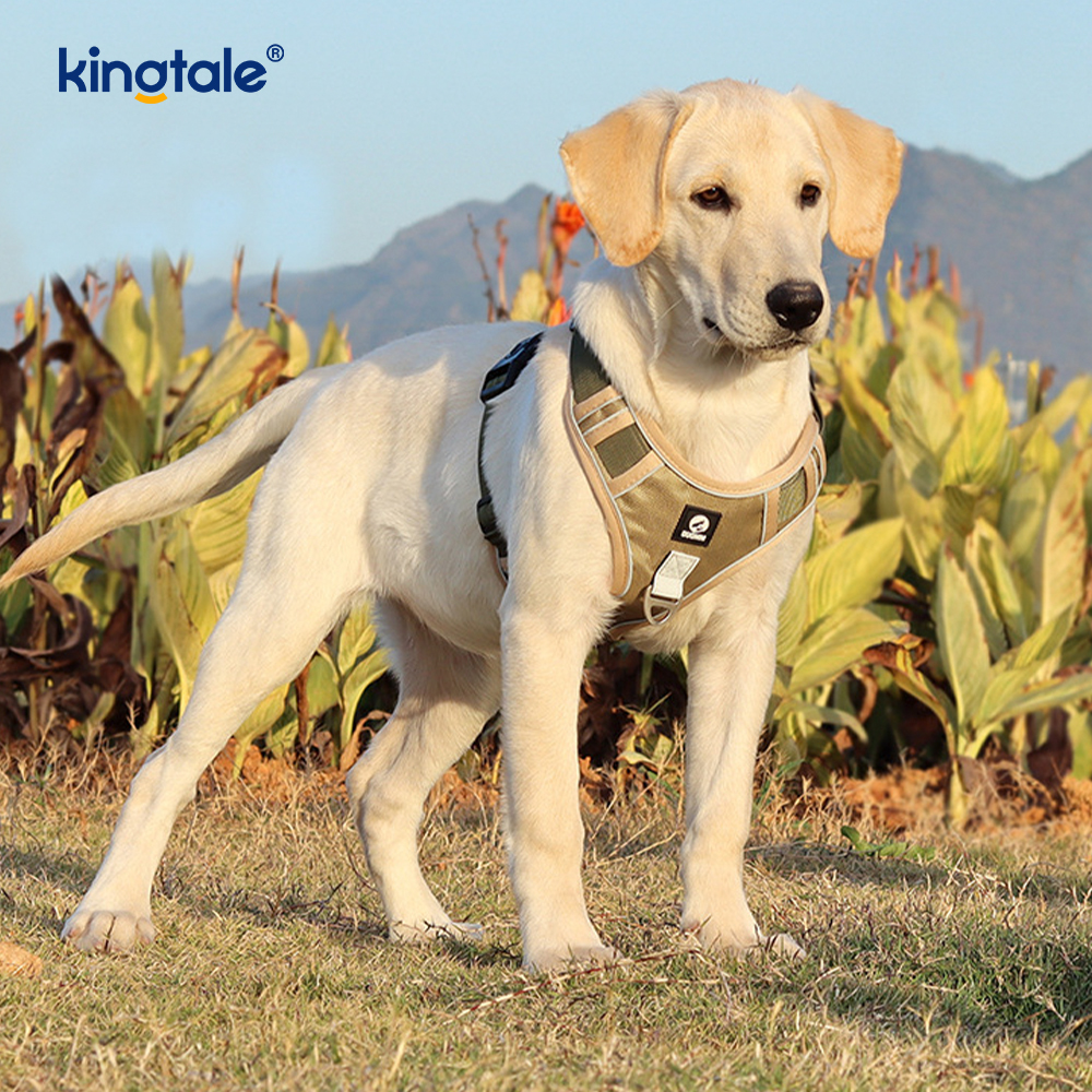 Pettorina per cani sportivi traspiranti e riflettenti con rivetti in nylon
