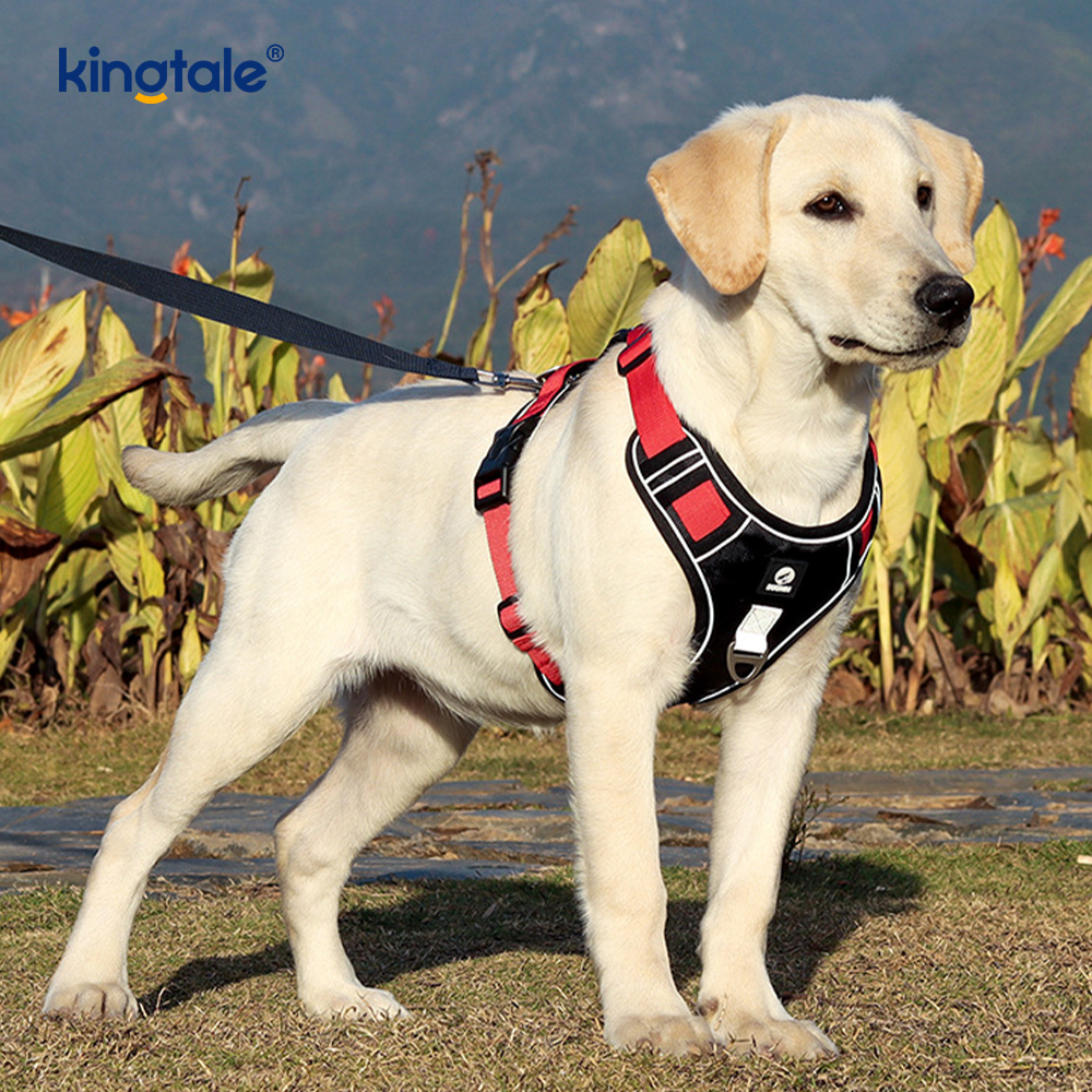 Pettorina per cani sportivi traspiranti e riflettenti con rivetti in nylon