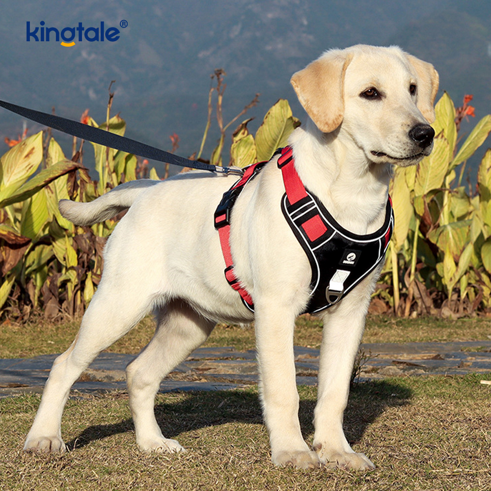 Pettorina per cani sportivi traspiranti e riflettenti con rivetti in nylon