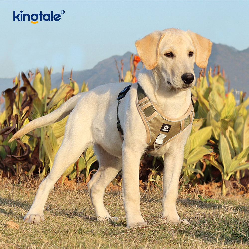 Pettorina per cani sportivi traspiranti e riflettenti con rivetti in nylon