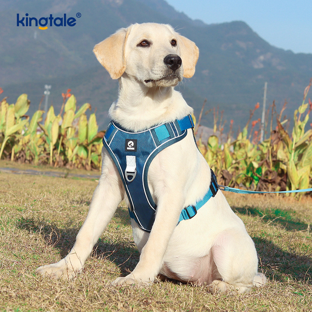 Pettorina per cani sportivi traspiranti e riflettenti con rivetti in nylon